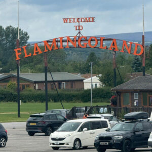 Photo-10