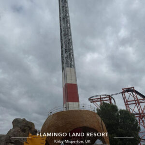 Photo-6
