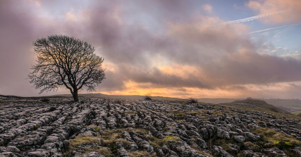 Malham-Header