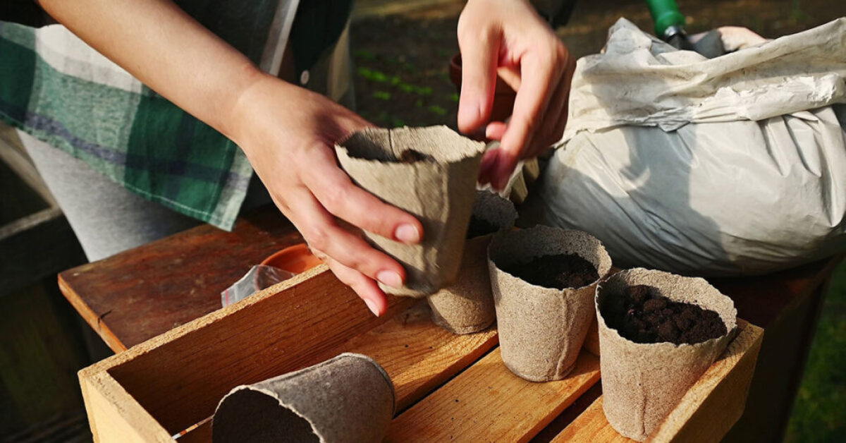 Young-Person-Blossoms-Through-Garden-Project